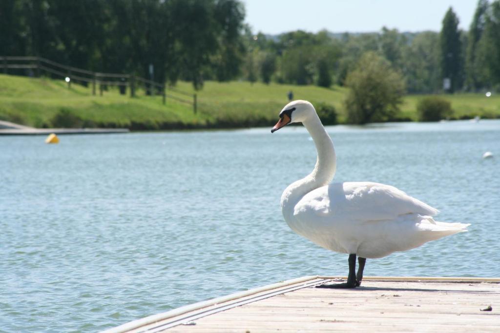 Ibis Budget Mantes-La-Jolie Kültér fotó